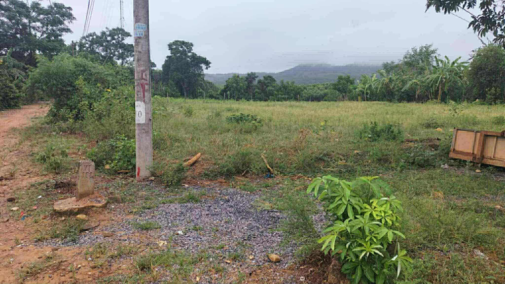 Cần bán
