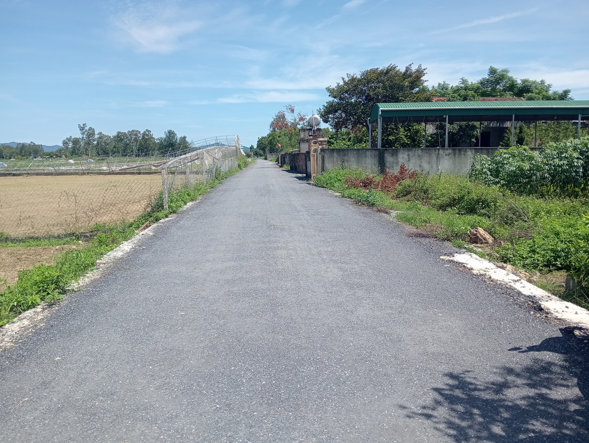 Đất đầu tư phân lô nghi trường