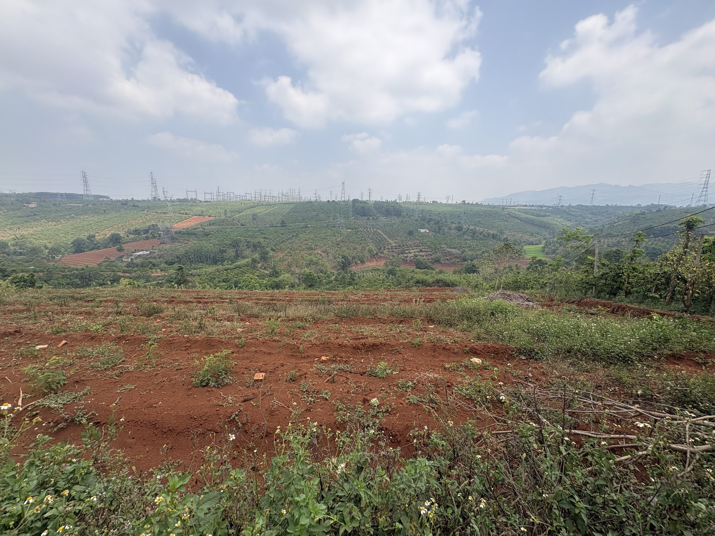 2,4ha đất trống Chư Păh- 2tỷ9 thương lượng