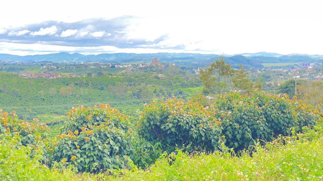 1ha đất thiện chí, ninh gia đức trọng, Lâm Đồng