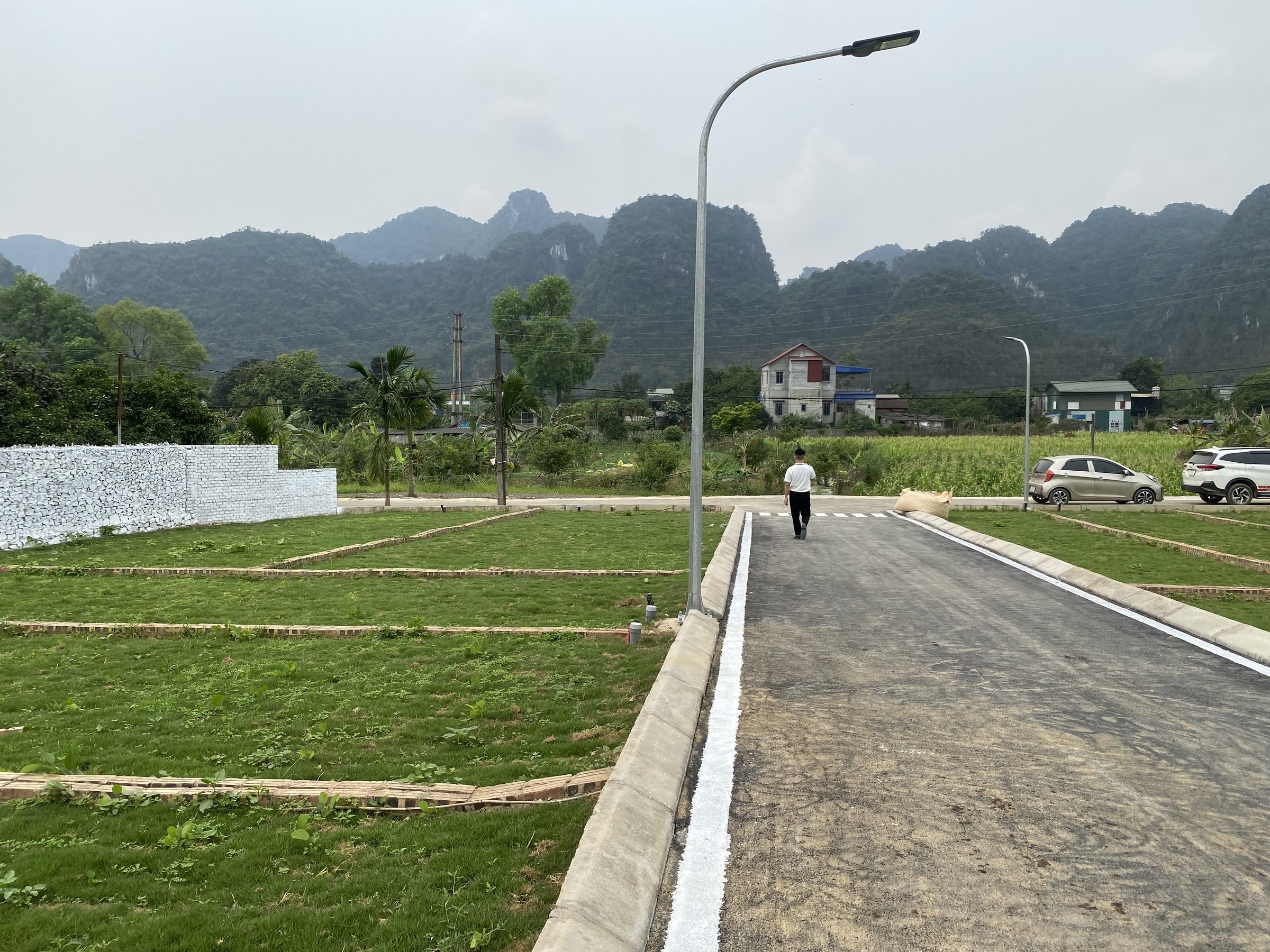 Hình 5