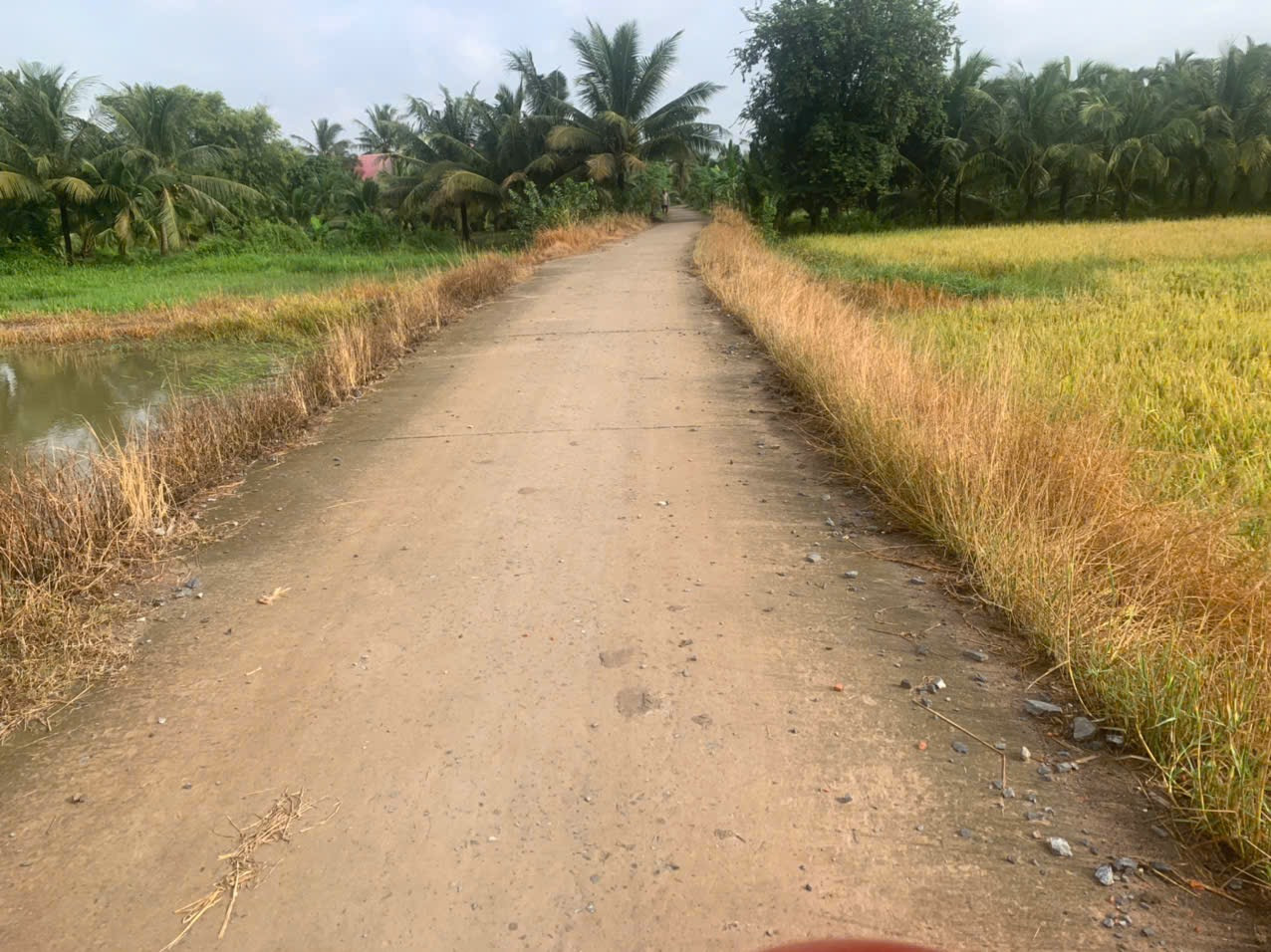 Đất giá tốt