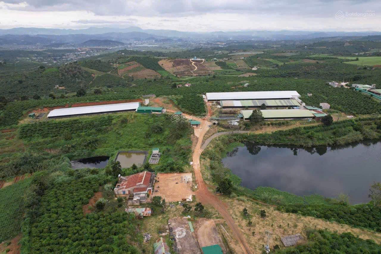 CẦN BÁN VƯỜN CÀ PHÊ + TRẠI HEO+ TRẠI GÀ TỔNG 9 ha - Xã Phúc Thọ, huyện Lâm Hà, tỉnh Lâm Đồng