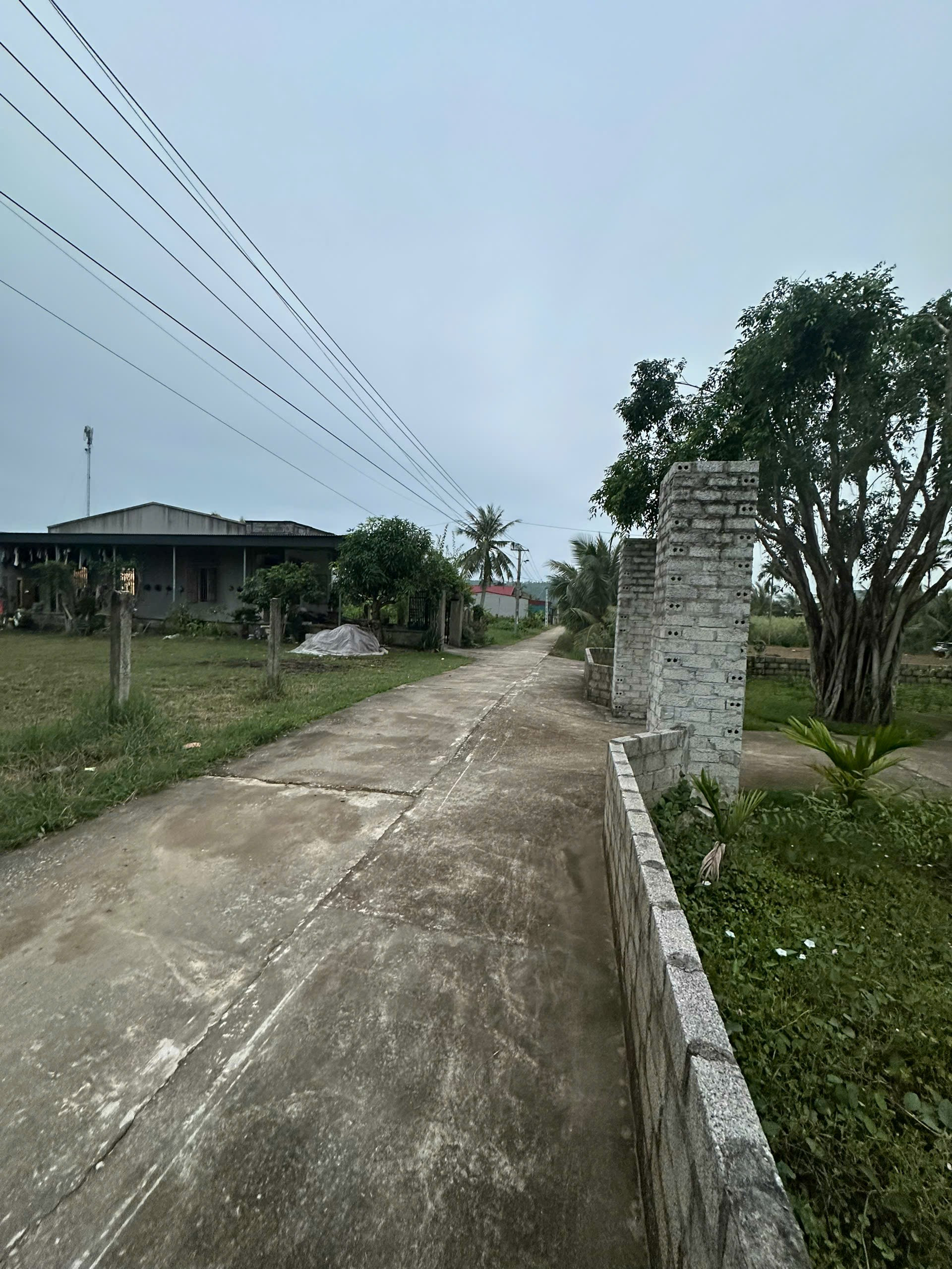 🔥 ĐẤT 275m² FULL THỔ CƯ – GIÁ CHỈ 250 TRIỆU/LÔ (HIẾM)