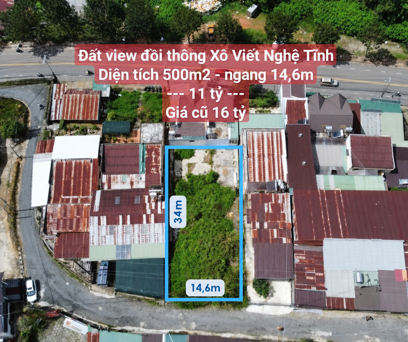Cắt lỗ lô đất ngộp ngân hàng view thông . 500m sẵn 328m đất ở bán 11 tỷ tại Xô viết Nghệ Tĩnh Đà Lạt