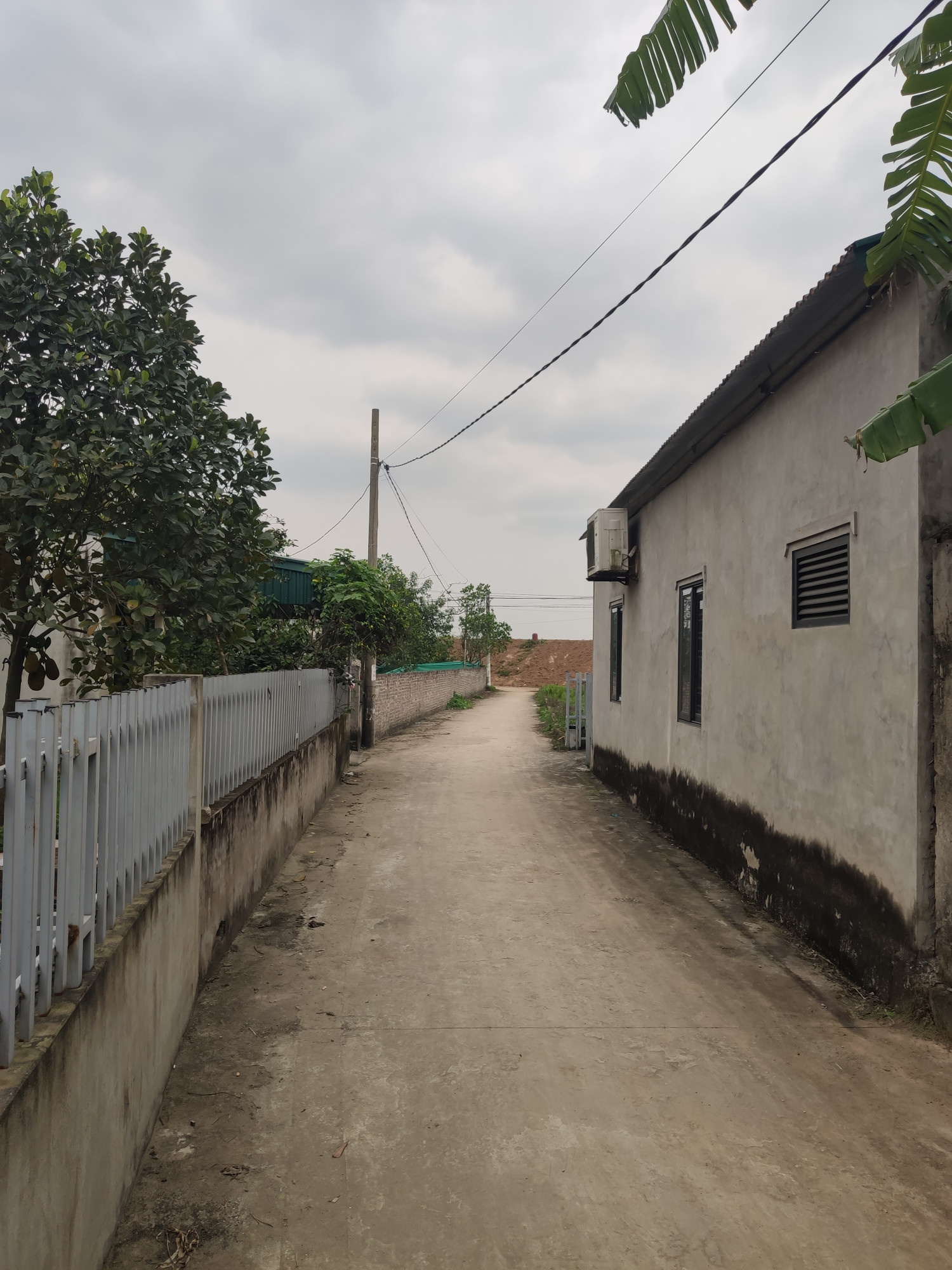 Đất hiếm gần sát đê xuân Canh