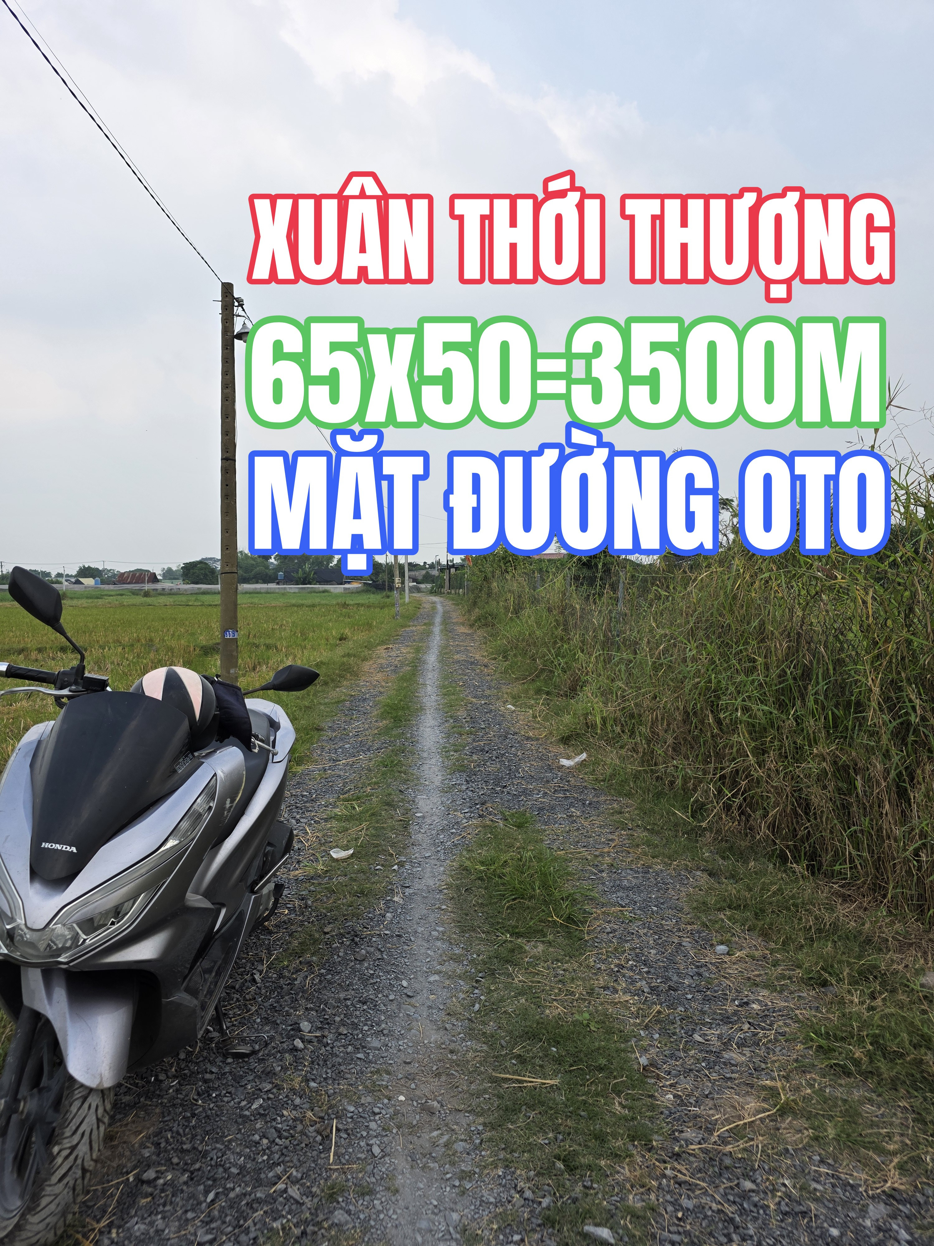 Bán đất 3000m² ngang 65m giá 9 tỷ Xã Bà Điểm