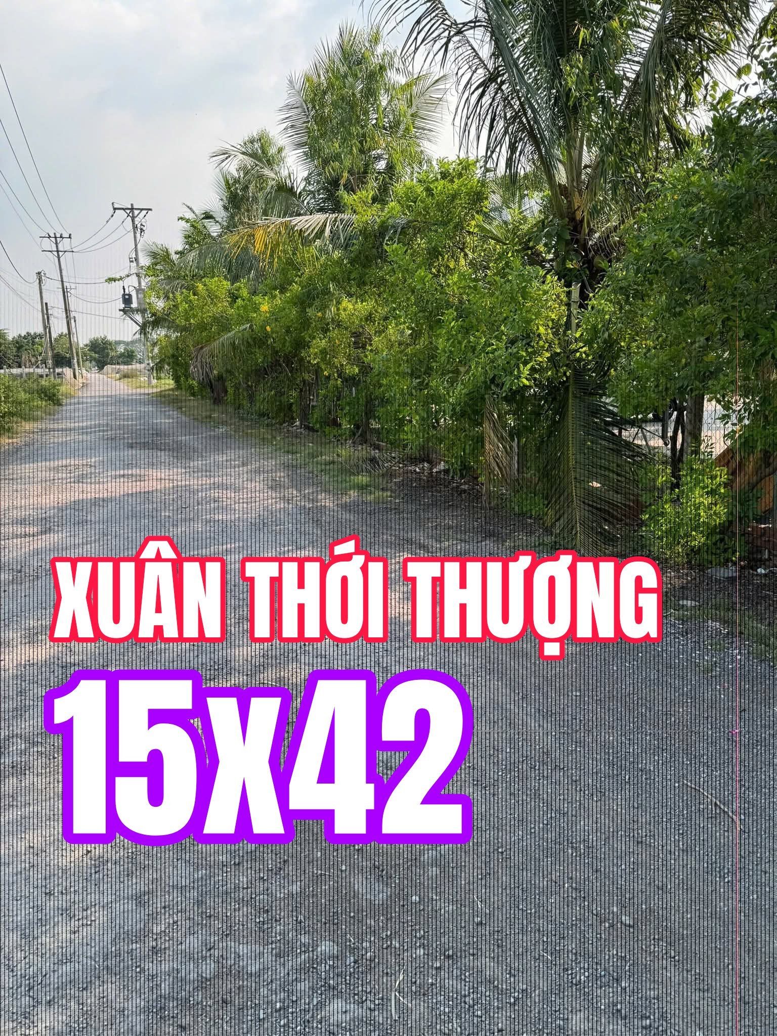 🟥Bán đất 600m² ngang 15x42m giá 4,8 tỷ tại Đường Xuân Thới Thượng 2 Xã Bà Điểm