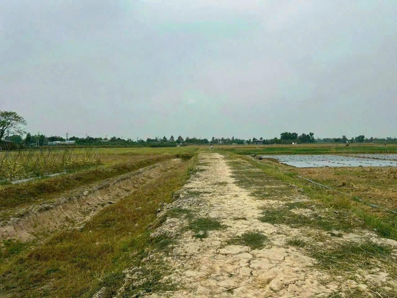 BÁN ĐẤT NÔNG NGHIỆP GIÁ TỐT – ẤP 2, XUÂN THỚI THƯỢNG, HÓC MÔN