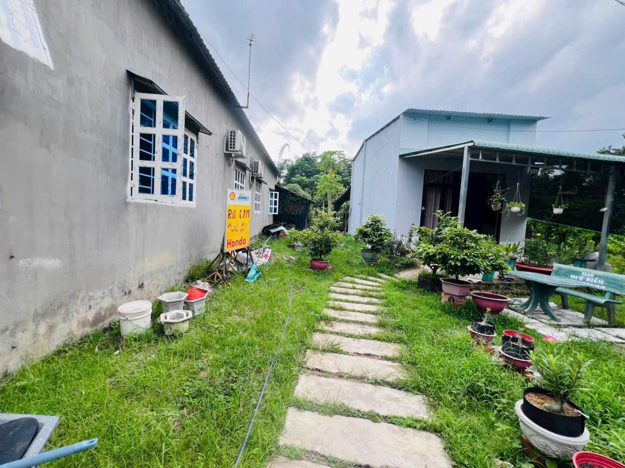 Giảm mạnh từ 1 tỷ 2 còn 600 triệu ĐẤT THỔ CƯ KP PHƯỚC HẬU GIA BÌNH TRẢNG BÀNG