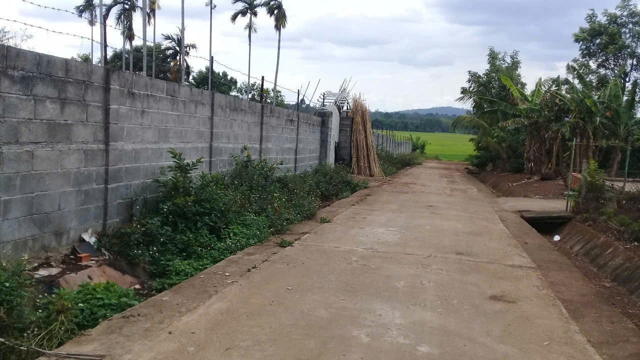 BÁN ĐẤT NHÀ VƯỜN EA KAO - Hơn 4500m2 - Có thổ cư - Hồ cá - View cánh đồng - Làm nhà vườn cực đẹp