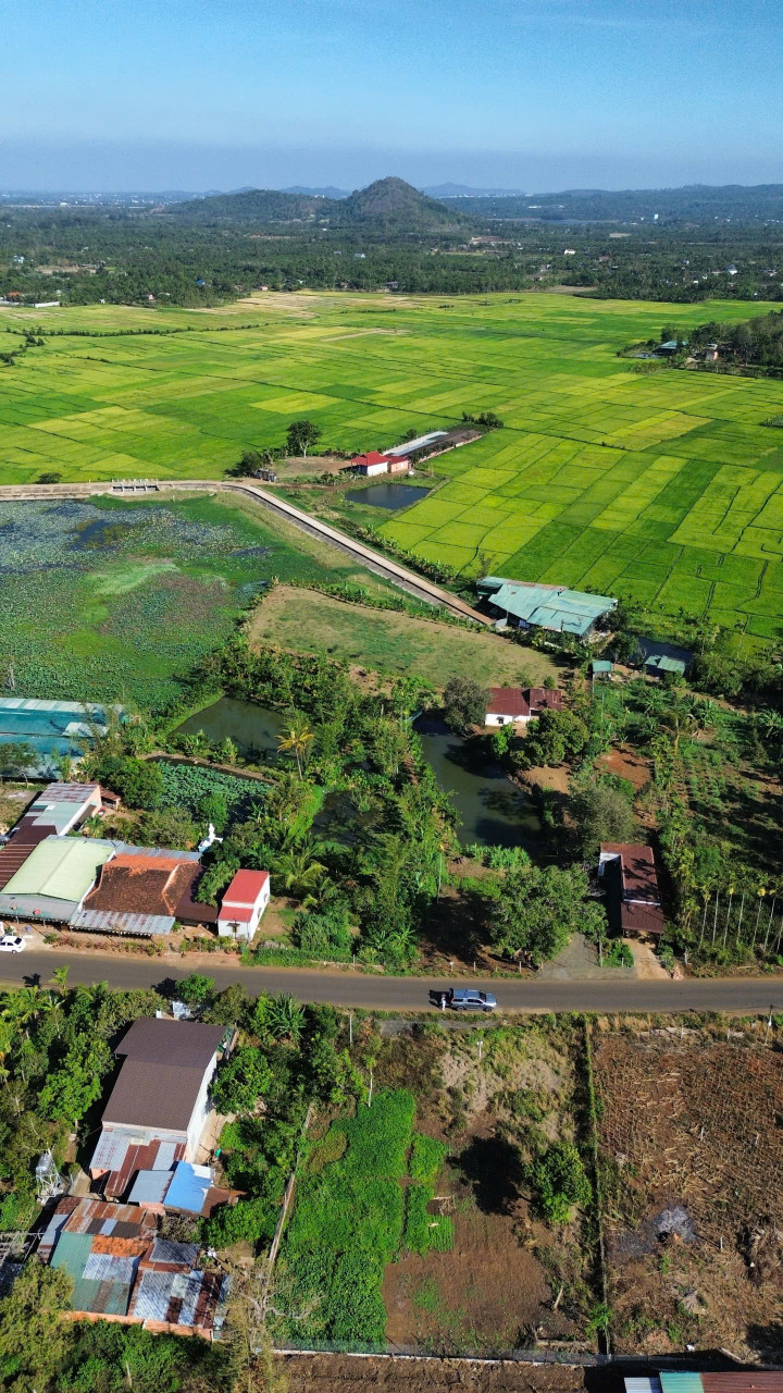 Bán nhanh BĐS đẹp, giá đầu tư.