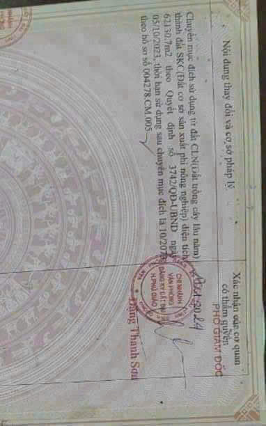 Bán 9,7 ha đất Phú giáo Binh Dương Có 6,3 skc đóng 50 năm giá thương lượng