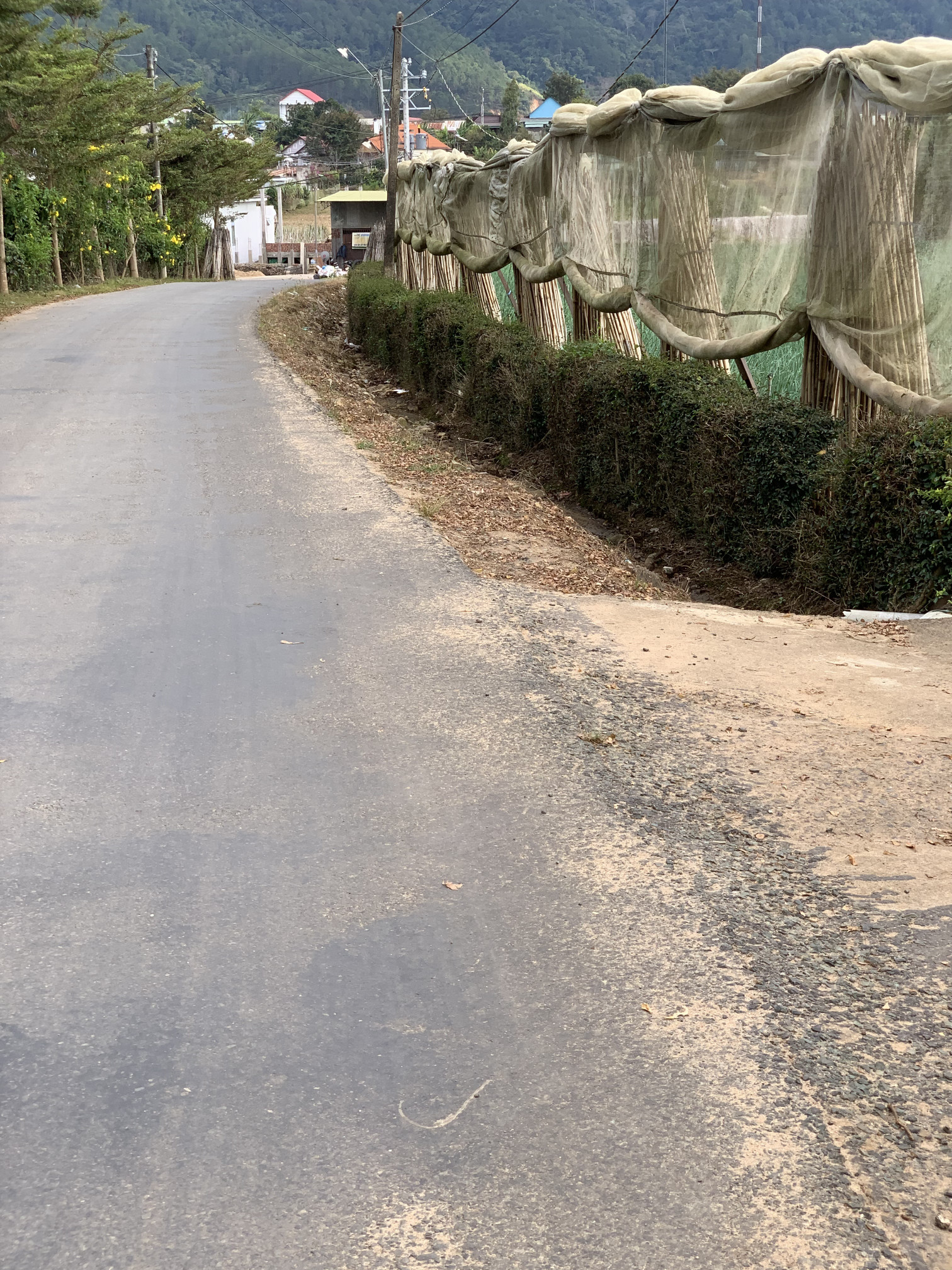 Bán cho người hữu duyên… Lâm Đồng