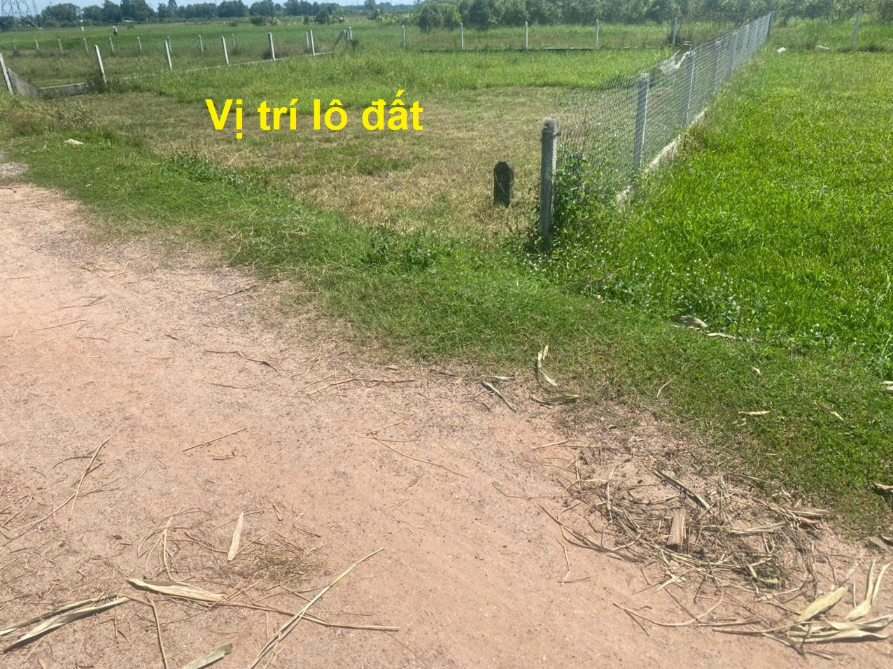 Bán đất vườn xã Phước Thạnh, Củ Chi, ngay VP Ấp Bàu Điều, 502m², 19.5x29m, đường xe tải, 1.5 tỷ