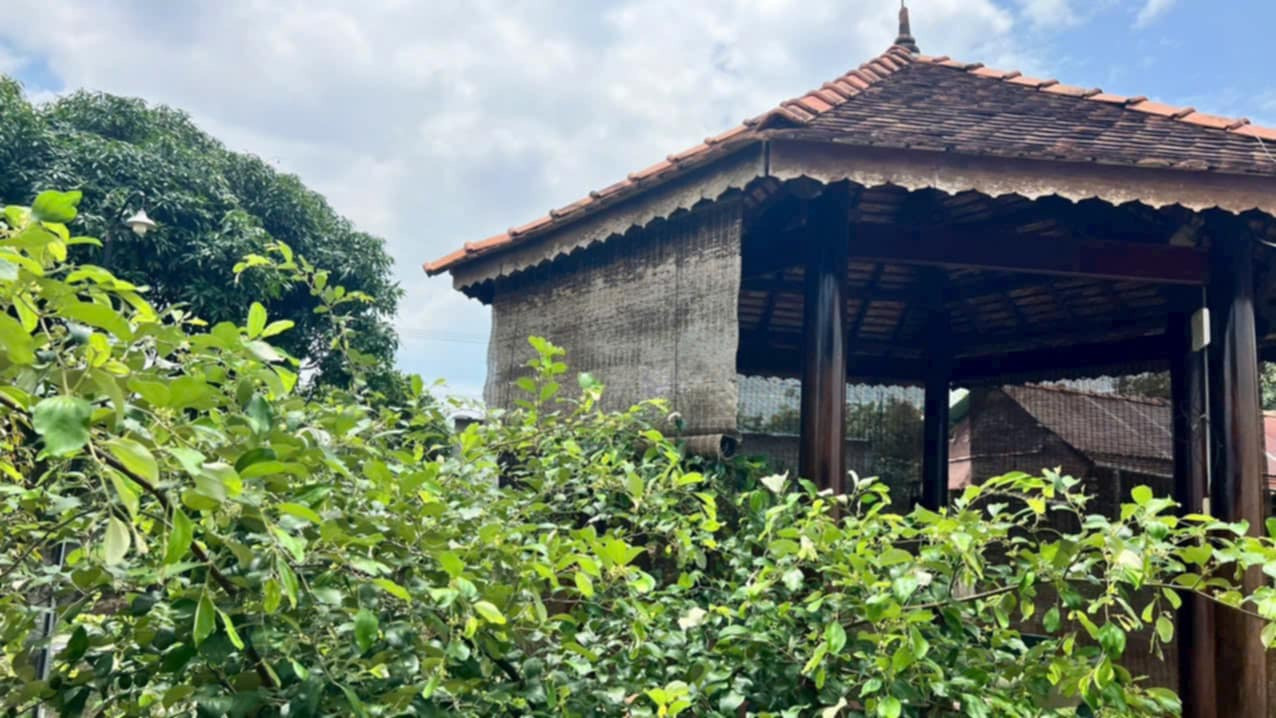 Bán nhà vườn