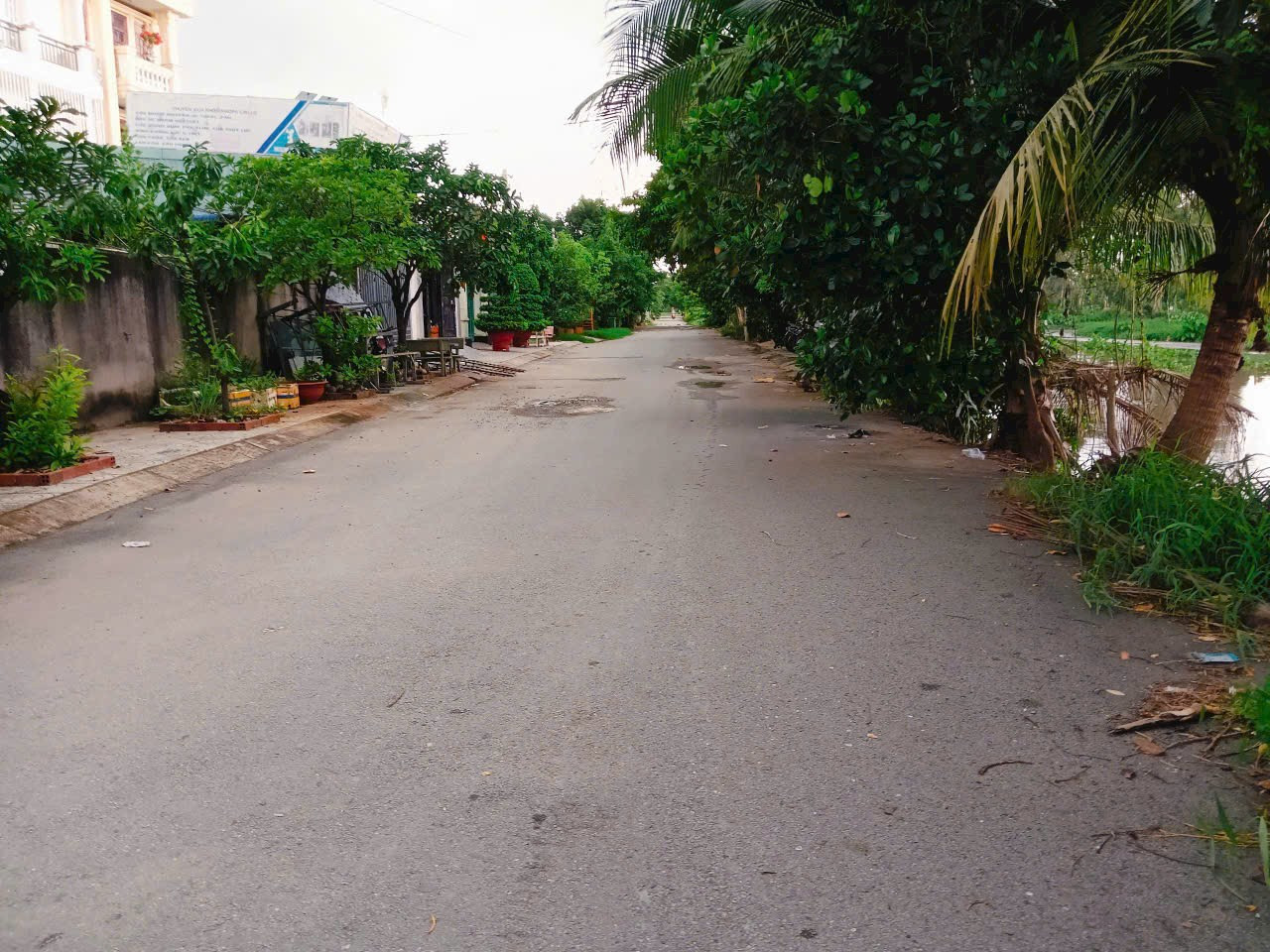 Xưởng Vew sông Vàm Thuật - đường nhựa 20m