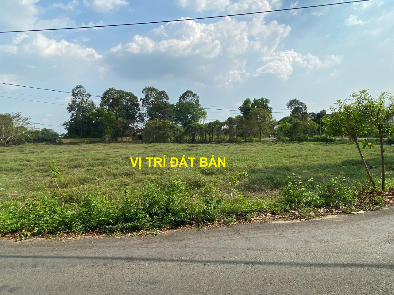 Bán Đất Vườn Mặt Tiền Đường Số 24, Tân Thông Hội, Củ Chi - Gần Quốc Lộ 22 - 5981m² - Giá 13,5 Tỷ