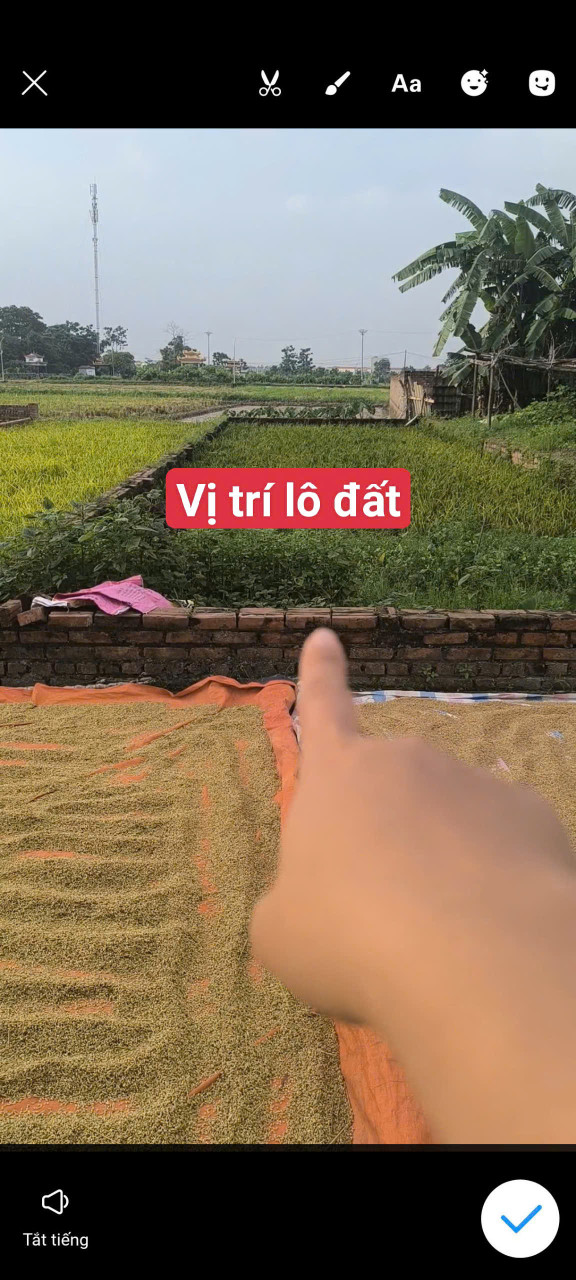 Bán đất Biểu Khê Thư Lâm 150m2 đường nhựa 5m MT6,2m full thổ cư