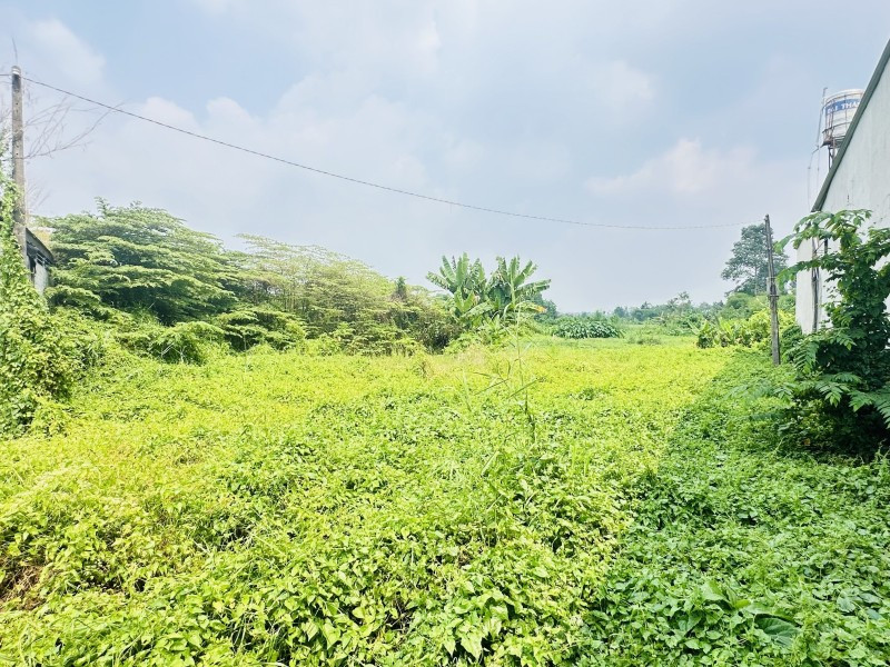 45 TỶ THƯƠNG LƯỢNG MẠNH