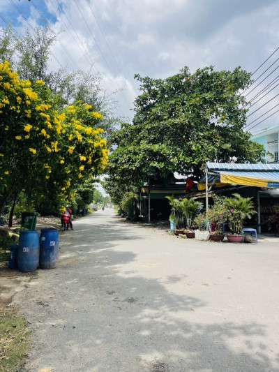 🚘 Đất hẻm thông bàn cờ Đường Tôn Thất Tùng, P.Đông Hòa TP.Dĩ An- Bình Dương