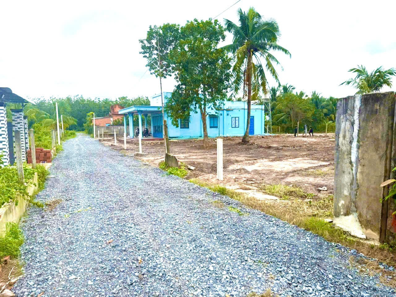 Chà Là- Dương Minh Châu- Tây Ninh giá rẻ chỉ 279tr lô full thổ 120m2 kdc đông