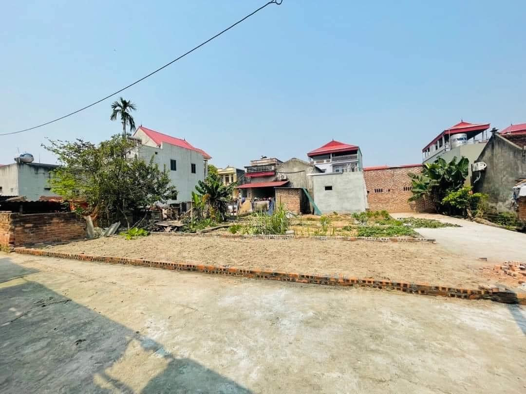 Bán đất Đường Nhạn Thư Lâm (Xuân Nộn cũ) 44,1m2 full thổ cư giá 2,8 tỷ có TL