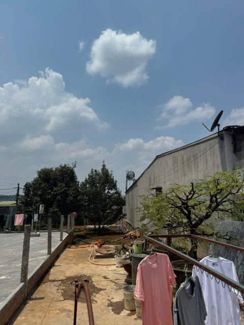 Đất k9 Tân Lợi  thành phố BMT