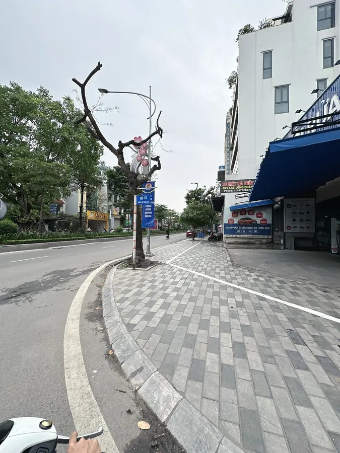 🌳 BÁN BIỆT THỰ VƯỜN ĐÀO – TÂY HỒ – 203M² – VIEW VƯỜN HOA – 119 TỶ 🌳