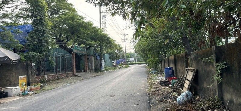 Dòng tiền 5.3 tỷ/ năm - Mặt tiền xe conter - 7000m2  Xưởng.