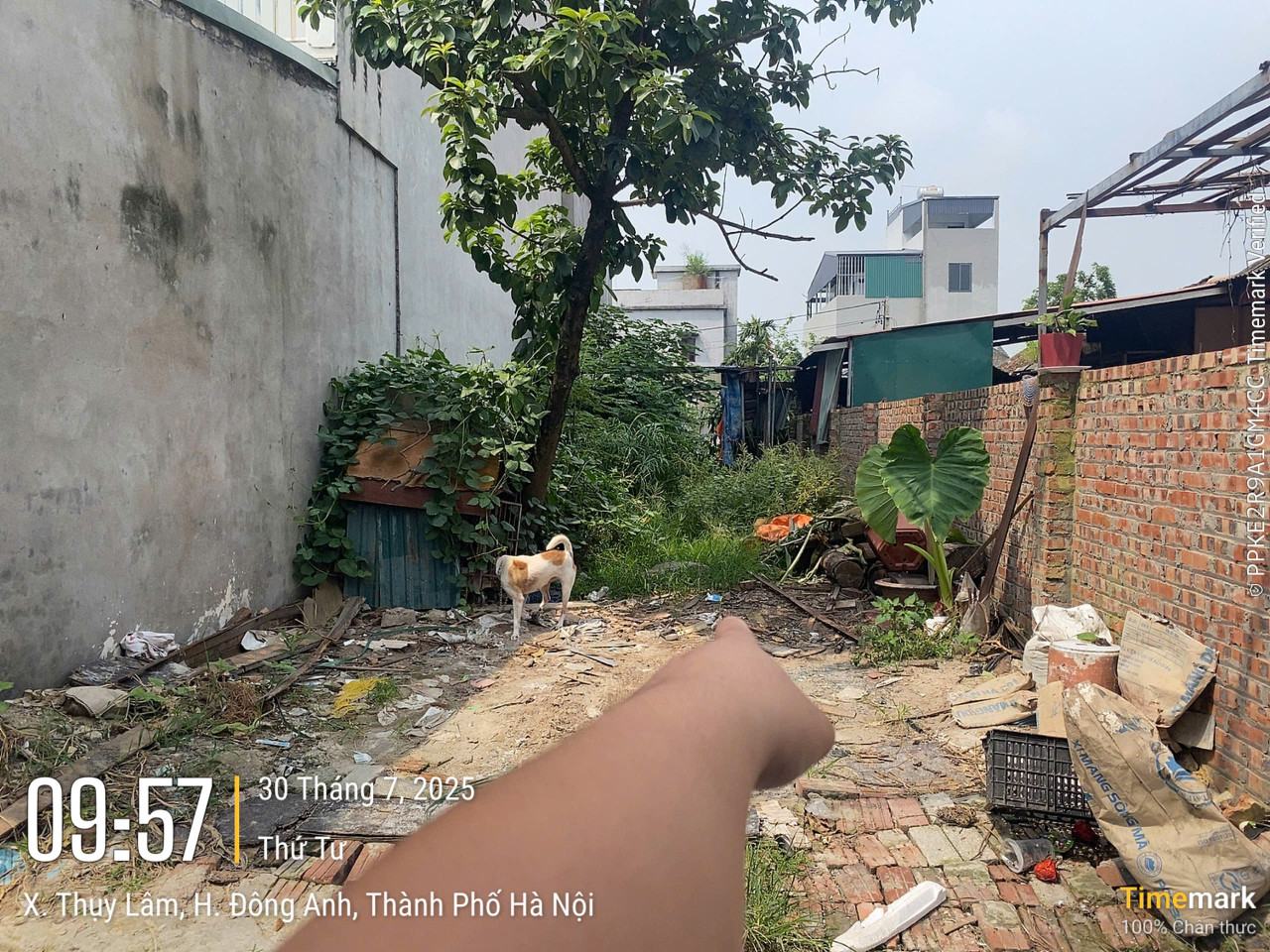 Bán đất Hà Lâm 2 Thư Lâm Hà Nội giá 4,x tỷ đường ô tô gần dự án VinGroup