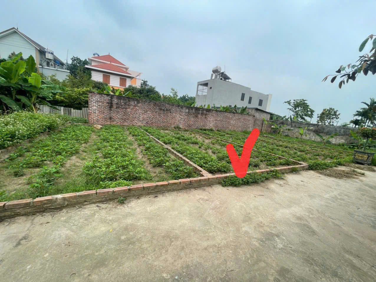 Chỉ 3 tỷ sở hữu 45,8m2 đất ô tô vào tại Đình Trung Thư Lâm Hà Nội (Xuân Nộn cũ)