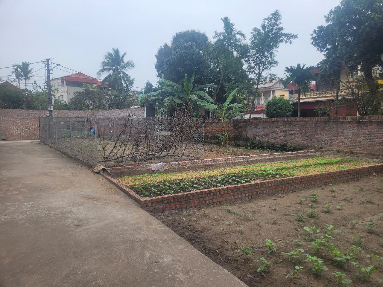 Bán đất Đường Nhạn Thư Lâm Hà Nội 48,6m2 giá 2.9 tỷ