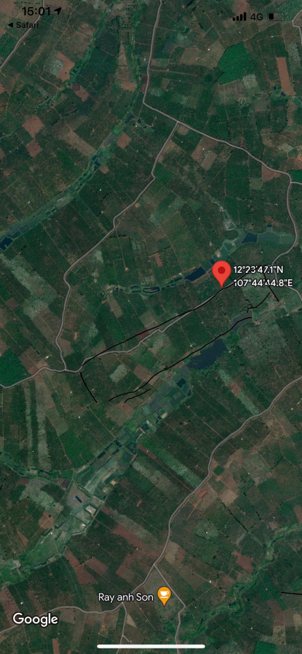 Bán  đất nông nghiệp 70000m² , giá 7 tỷ tại, Xã Tân Thành, Huyện Krông Nô, Đắk Nông