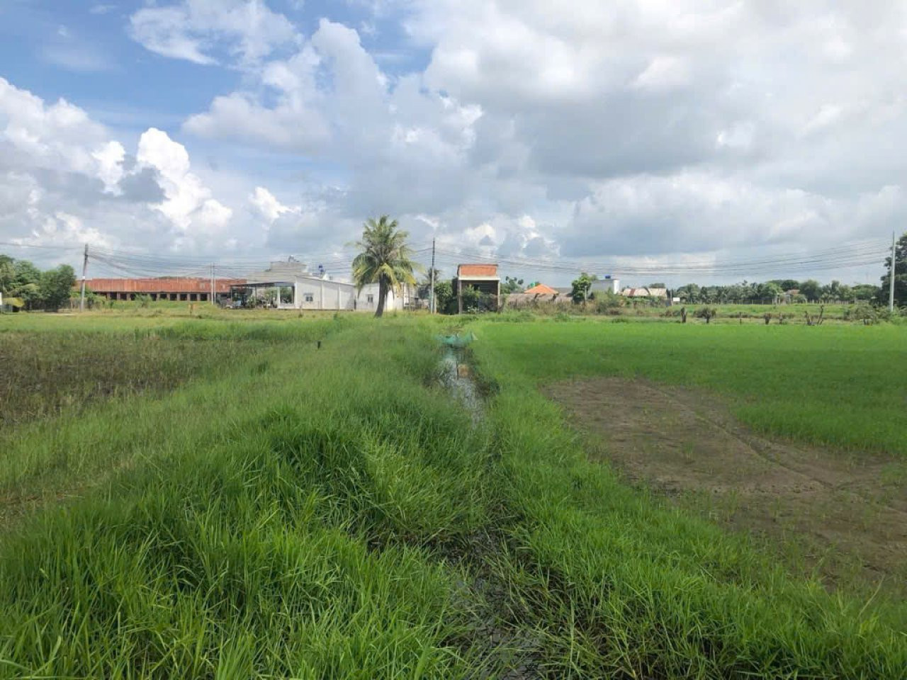 ⭐️ 1Ha Đất Vuông SHR HXH – Đức Hoà Thượng Long An