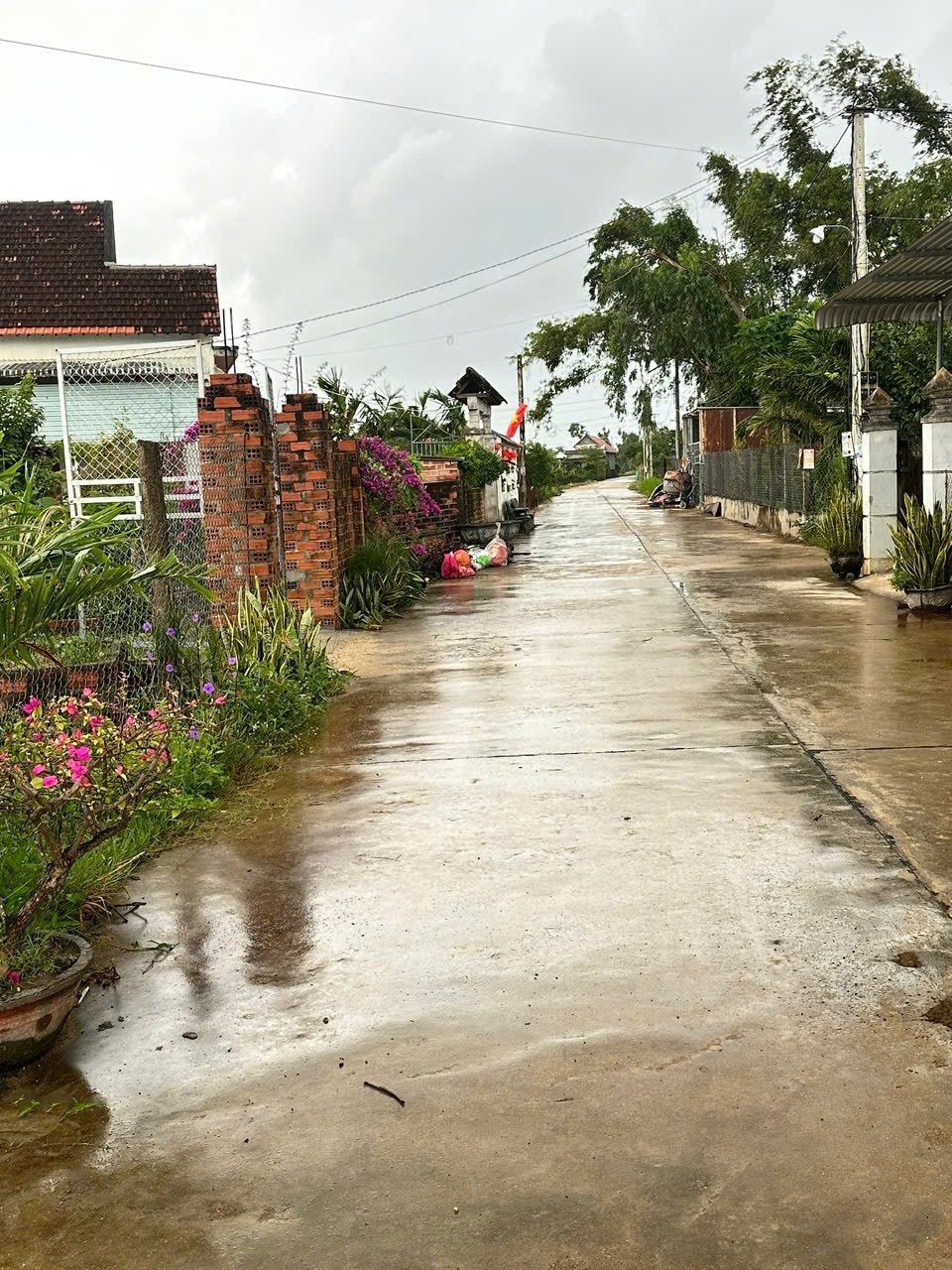 NHÀ ĐẸP – GIÁ TỐT – CHÍNH CHỦ CẦN BÁN ĐẤT Xã Cát Trinh, Huyện Phù Cát, Tỉnh Bình Định