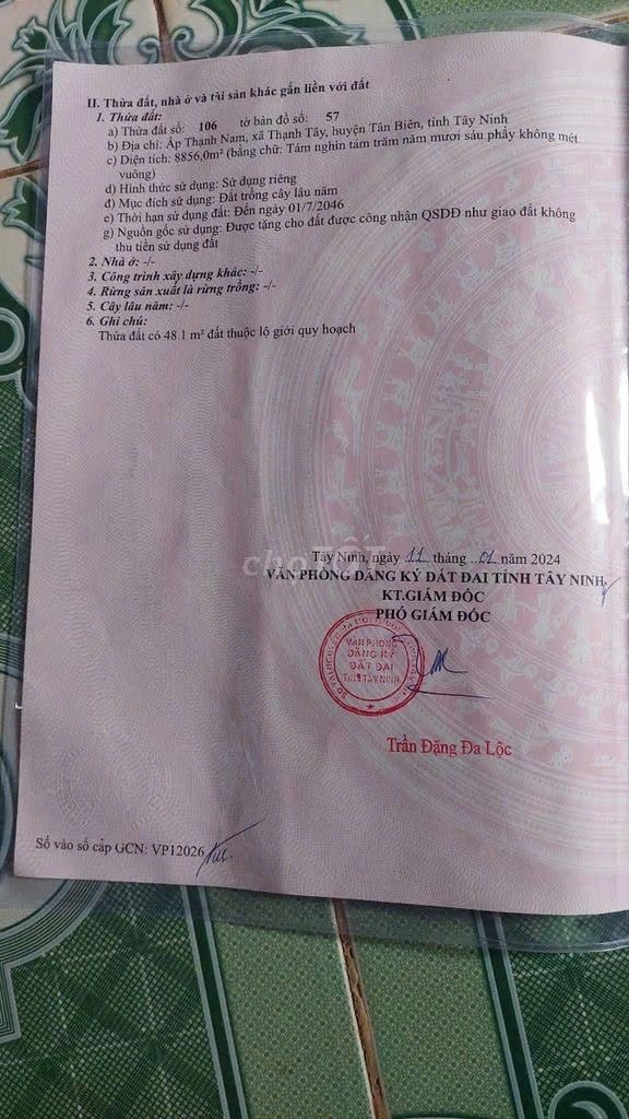 Chính Chủ Cần Bán Đất Trông Cao Su Lâu Năm Đường Số 46, Xã Thạnh Tây, Huyện Tân Biên, Tây Ninh