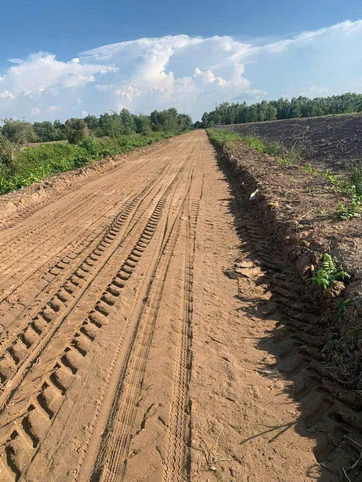 BÁN ĐẤT CHÍNH CHỦ – ĐƯỜNG TÂY KÊNH 500, THỊ TRẤN MỸ PHƯỚC, TÂN PHƯỚC, TIỀN GIANG