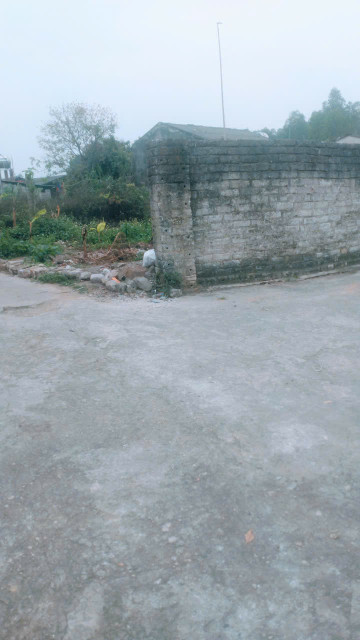 Bán đất 350m² 1 tỷ Huyện Yên Thế