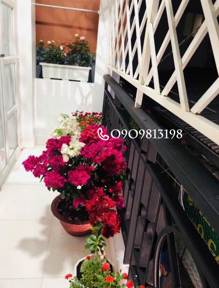 ✨✨✨Nhà phố vị trí đẹp – SHR đầy đủ – Giá hợp lý✨✨✨