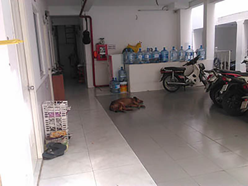 CHO THUÊ PHÒNG GIÁ RẺ CÓ HỆ THỐNG PCCC AN TOÀN TRUNG TÂM PHƯỜNG 3, QUẬN TÂN BÌNH