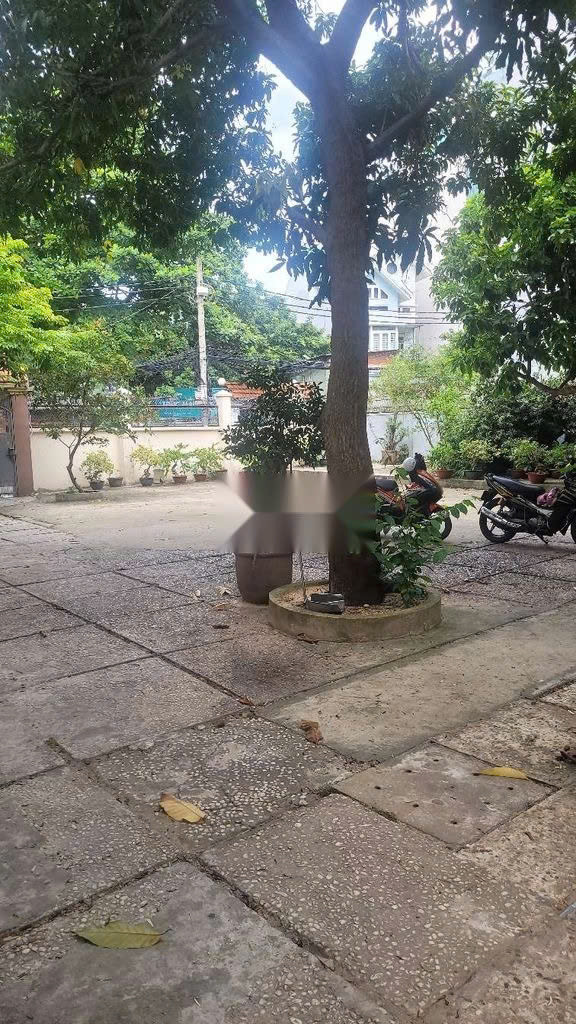 BDS HVL Địa chỉ: 12A Nguyễn Trung Trực, Phường 5, Quận Bình Thạnh, TP.HCM
