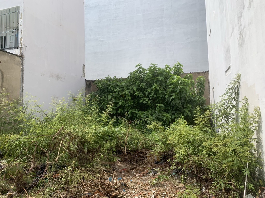 [L2365] CƠ HỘI BẮT ĐÁY - ĐẤT AN NHƠN GÒ VẤP GIÁ TỐT 🚀