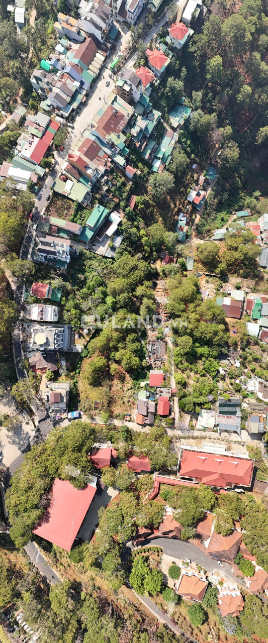 Cần bán 1800m2 đất sổ riêng Xây dựng, view rừng thông, cạnh Dinh 1, Trần Quang Diệu, Tp. Đà Lạt
