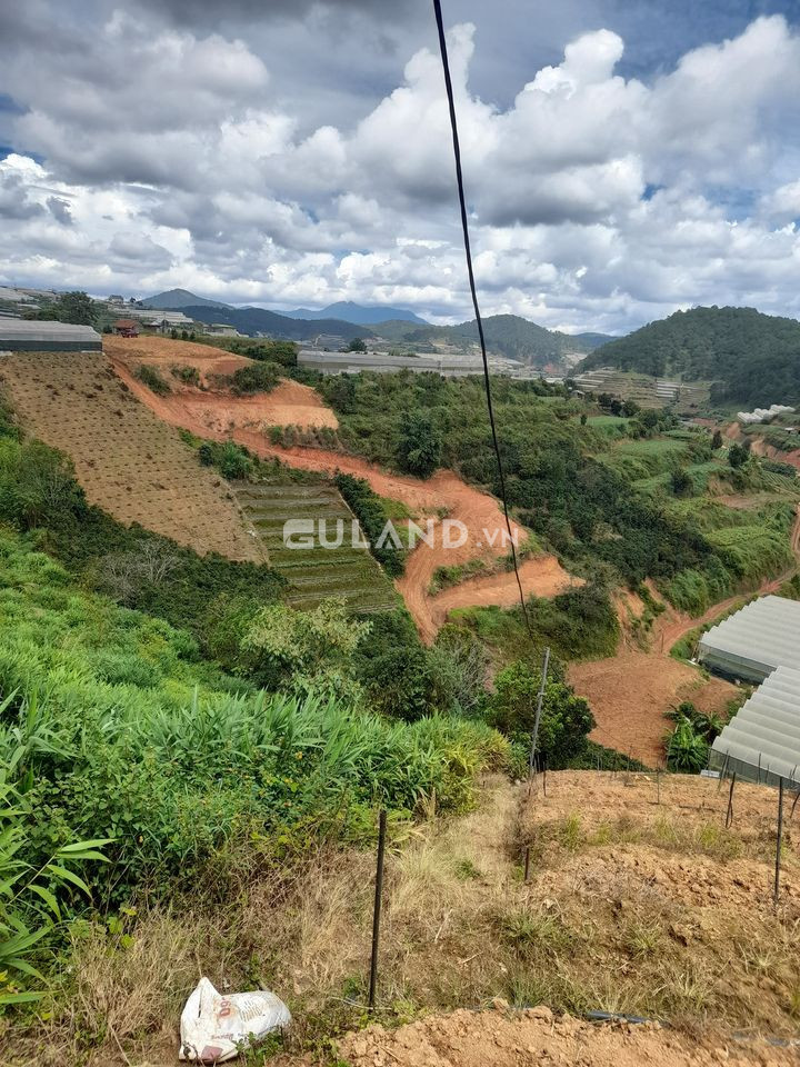Bán  đất thổ cư 900m² , giá 23 tỷ tại, Phường 11, Thành phố Đà Lạt, Lâm Đồng