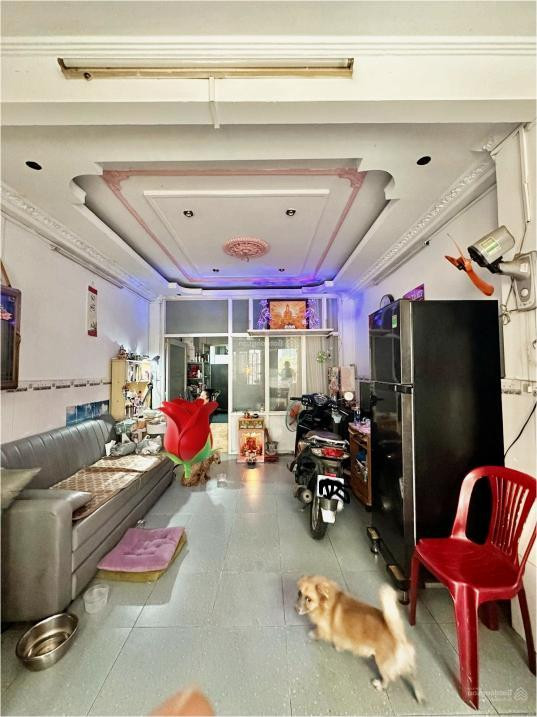 🏡 Bán gấp nhà HXH 3/2, Q.10, giá rẻ 7.x tỷ!
