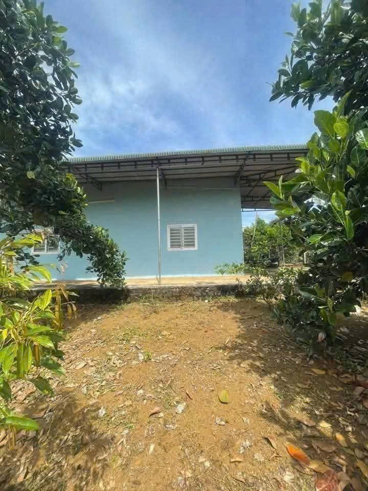 Bán nhà 1660m² giá 3.59 tỷ Phường 2 Bảo Lộc