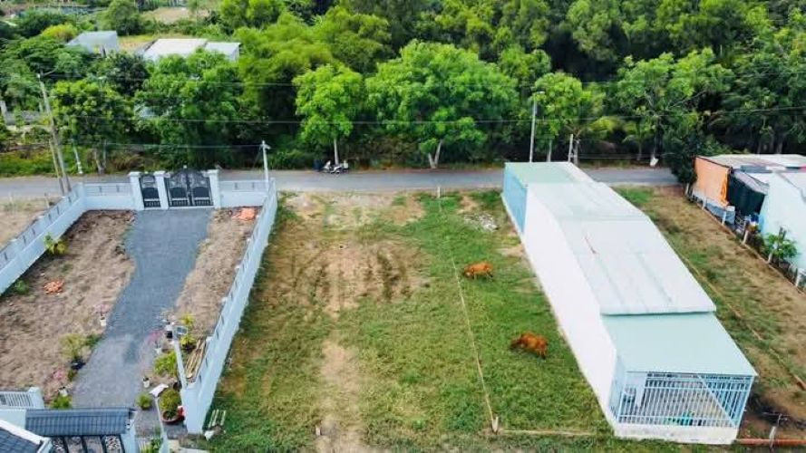 ĐẤT VÀNG MT HL15 110M2- SHR SANG TÊN NGAY THỔ CƯ 100% - 480TR