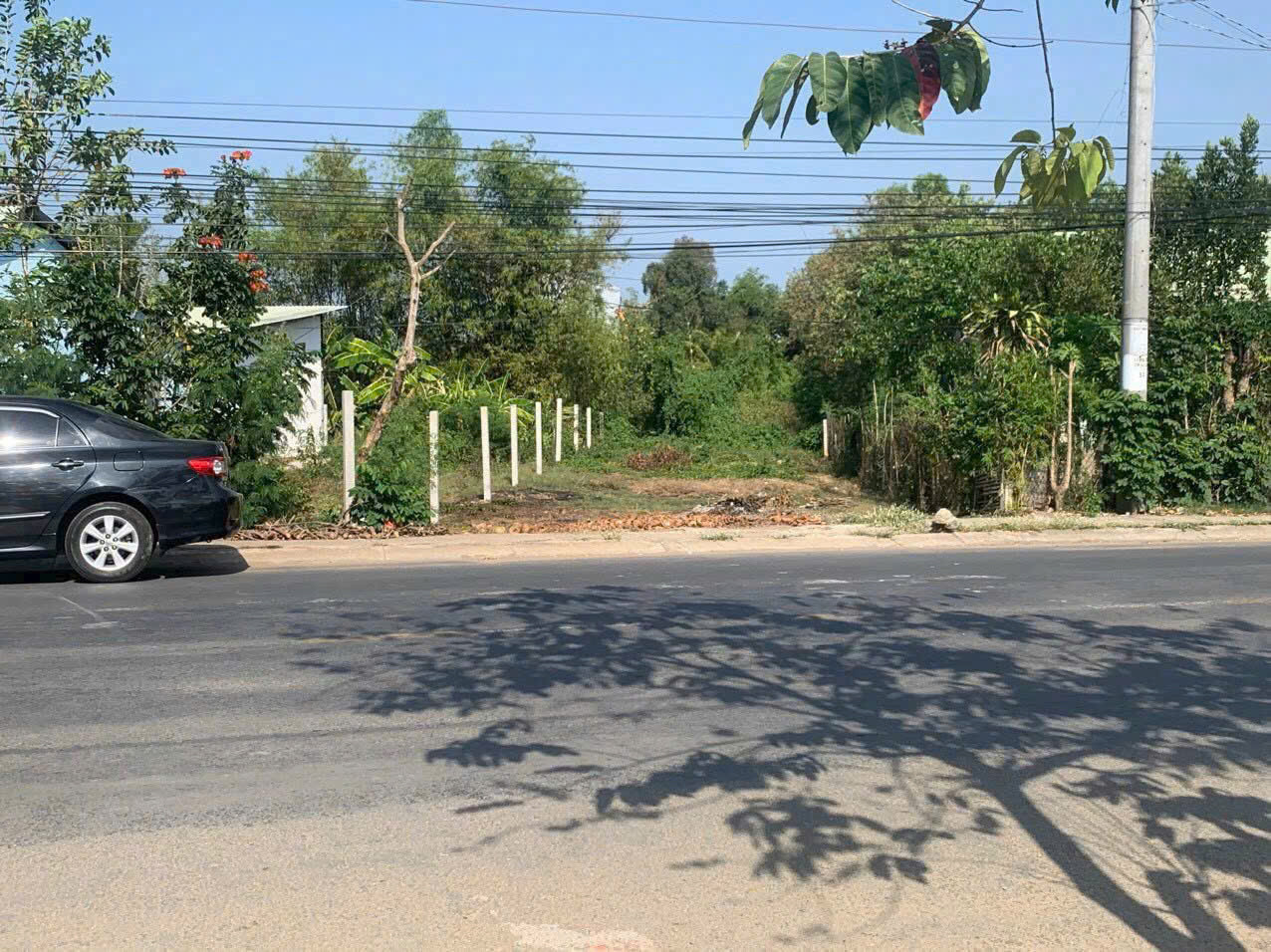 CHÍNH CHỦ BÁN ĐẤT Trung Tâm, P.4, TP. TÂN AN, 290M2, SHR, 2TỶ8