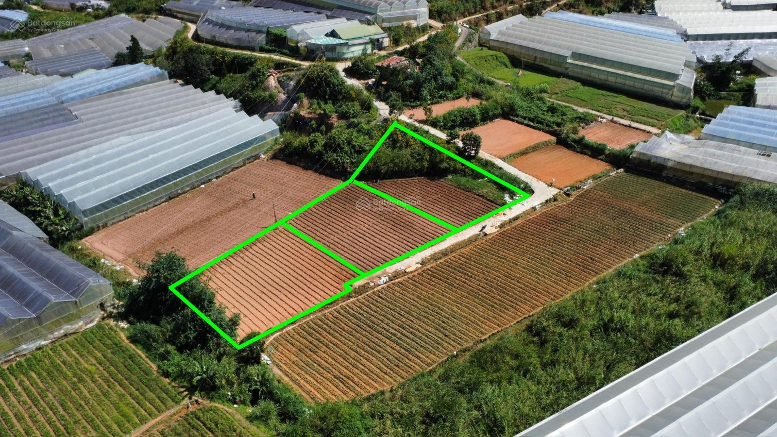 Bán đất tại p5 Đà Lạt